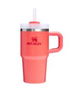 Stanley The Quencher H2.O FlowState™ Tumbler | 20 OZ: 1430